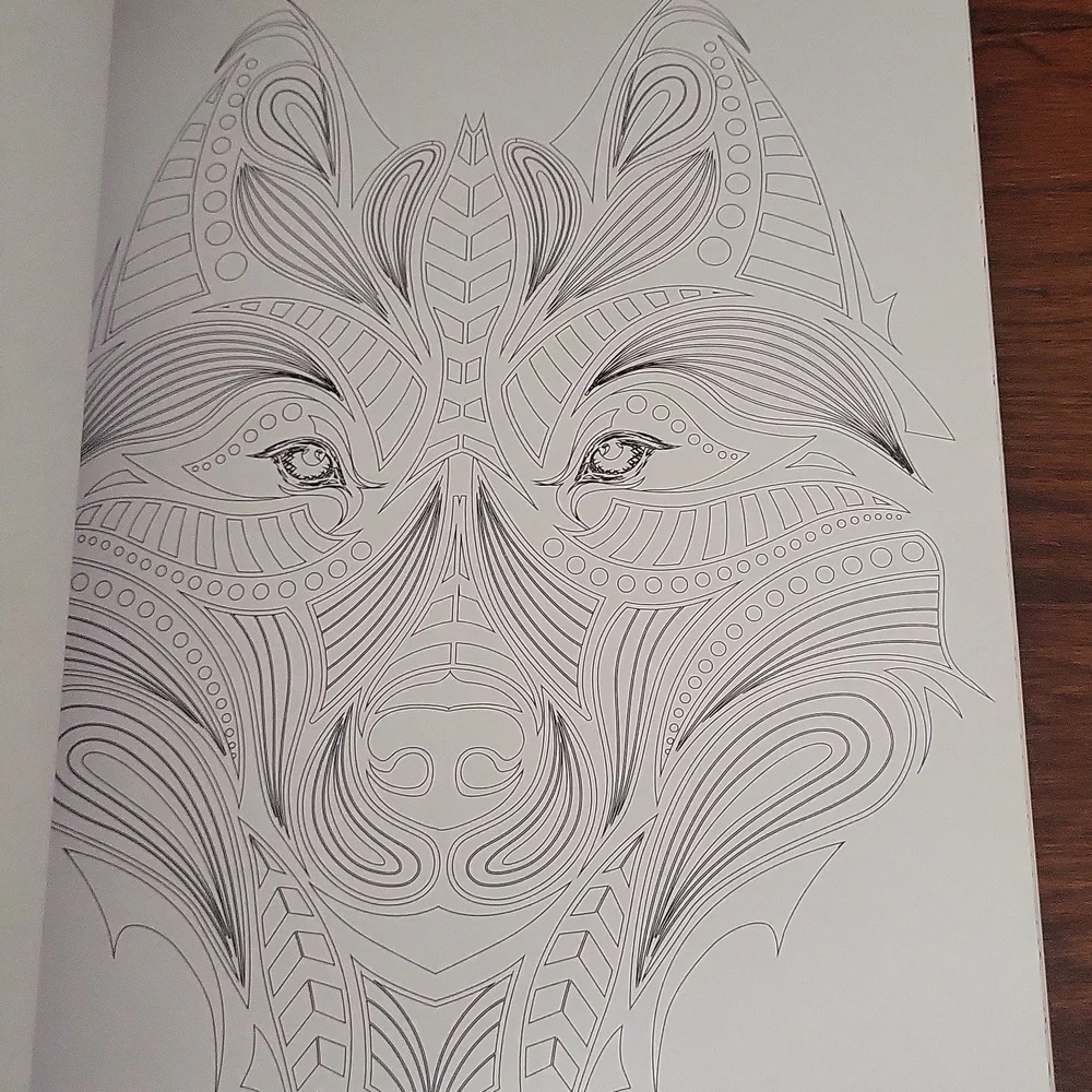 NWT Set of 2 Adult Coloring Books